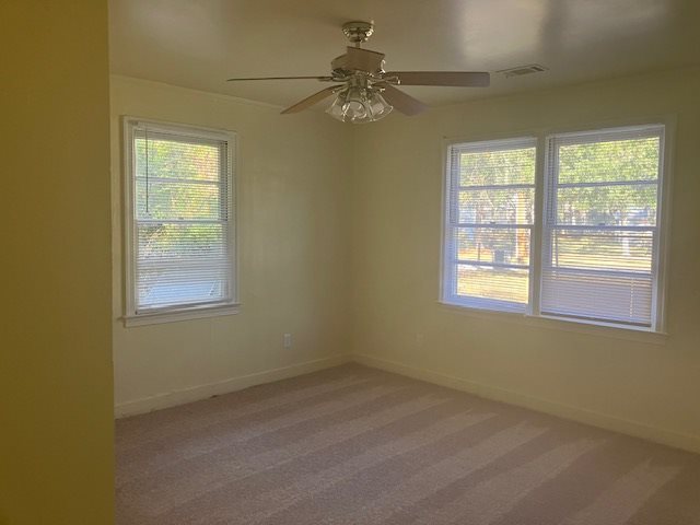 Gallery Photo 3